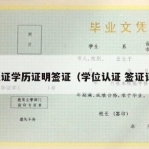 学位证学历证明签证（学位认证 签证记录）