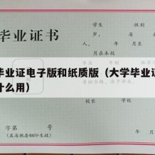 大学毕业证电子版和纸质版（大学毕业证纸质版有什么用）