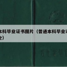 普通本科毕业证书图片（普通本科毕业证书图片大全）