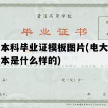 电大本科毕业证模板图片(电大毕业证样本是什么样的)