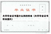 大学毕业证书是什么样的样本（大学毕业证书样本图片）