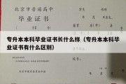 专升本本科毕业证书长什么样（专升本本科毕业证书有什么区别）