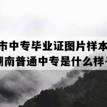 武冈市中专毕业证图片样本(1997年湖南普通中专是什么样子的）