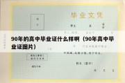 90年的高中毕业证什么样啊（90年高中毕业证图片）