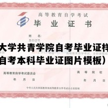 南昌大学共青学院自考毕业证样本（江西自考本科毕业证图片模板）