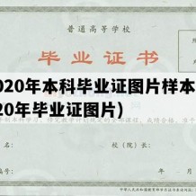 2020年本科毕业证图片样本(2020年毕业证图片)