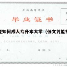 低文凭如何成人专升本大学（低文凭能报什么班）