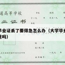 大学毕业证丢了要得急怎么办（大学毕业证丢了严重吗）