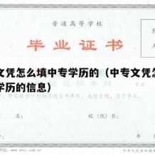 中专文凭怎么填中专学历的（中专文凭怎么填中专学历的信息）