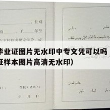 中专毕业证图片无水印中专文凭可以吗（中专毕业证样本图片高清无水印）