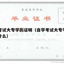 自学考试大专学历证明（自学考试大专学历证明是什么）