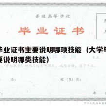 大学毕业证书主要说明哪项技能（大学毕业证书主要说明哪类技能）