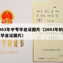 2003年中专毕业证图片（2003年的中专毕业证图片）