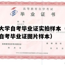 大理大学自考毕业证实拍样本（云南成人自考毕业证图片样本）