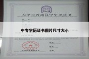 中专学历证书图片尺寸大小