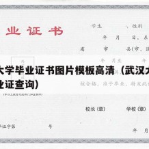 武汉大学毕业证书图片模板高清（武汉大学本科毕业证查询）