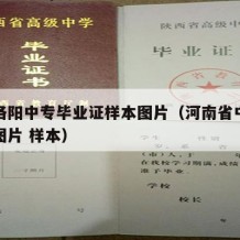 河南洛阳中专毕业证样本图片（河南省中专毕业证图片 样本）