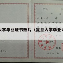 复旦大学毕业证书照片（复旦大学毕业证明书）