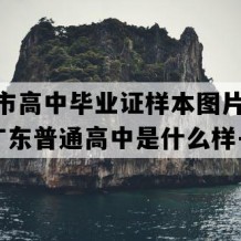 廉江市高中毕业证样本图片(1994年广东普通高中是什么样子的）