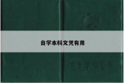 自学本科文凭有用