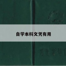 自学本科文凭有用