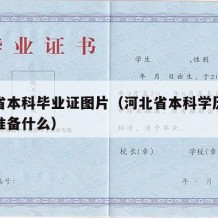 河北省本科毕业证图片（河北省本科学历认证需要准备什么）