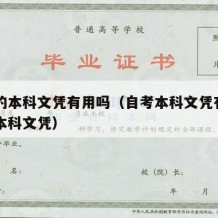 自考的本科文凭有用吗（自考本科文凭有用吗自考本科文凭）