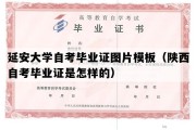 延安大学自考毕业证图片模板（陕西自考毕业证是怎样的）