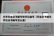 大学毕业证书编号和学位编号（毕业证书编号学位证书编号怎么查）