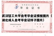 武汉轻工大学自考毕业证模板图片（湖北成人自考毕业证样子图片）