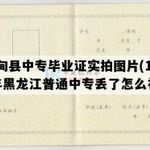 林甸县中专毕业证实拍图片(1993年黑龙江普通中专丢了怎么补）