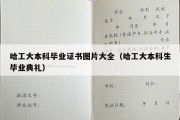 哈工大本科毕业证书图片大全（哈工大本科生毕业典礼）