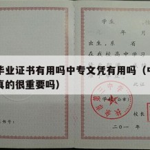 中专毕业证书有用吗中专文凭有用吗（中专毕业证真的很重要吗）