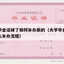 大学毕业证掉了如何补办新的（大学毕业证丢失怎么补办流程）