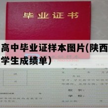 洋县高中毕业证样本图片(陕西地区高中学生成绩单）