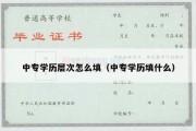 中专学历层次怎么填（中专学历填什么）