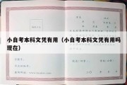 小自考本科文凭有用（小自考本科文凭有用吗现在）