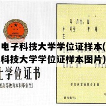 杭州电子科技大学学位证样本(杭州电子科技大学学位证样本图片)