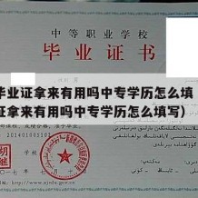 中专毕业证拿来有用吗中专学历怎么填（中专毕业证拿来有用吗中专学历怎么填写）