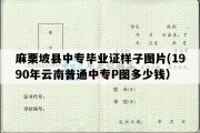 麻栗坡县中专毕业证样子图片(1990年云南普通中专P图多少钱）