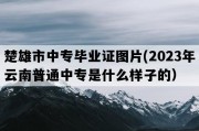 楚雄市中专毕业证图片(2023年云南普通中专是什么样子的）