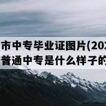 楚雄市中专毕业证图片(2023年云南普通中专是什么样子的）