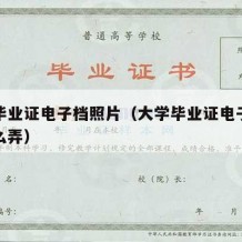 大学毕业证电子档照片（大学毕业证电子档照片怎么弄）