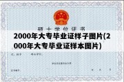 2000年大专毕业证样子图片(2000年大专毕业证样本图片)