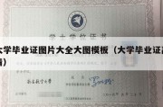 大学毕业证图片大全大图模板（大学毕业证高清）