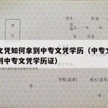 中专文凭如何拿到中专文凭学历（中专文凭如何拿到中专文凭学历证）