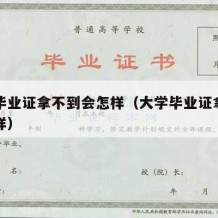 大学毕业证拿不到会怎样（大学毕业证拿不到怎么样）