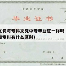 中专文凭与专科文凭中专毕业证一样吗（中专学历和专科有什么区别）