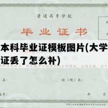 大学本科毕业证模板图片(大学本科毕业证丢了怎么补)