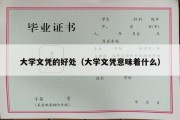 大学文凭的好处（大学文凭意味着什么）